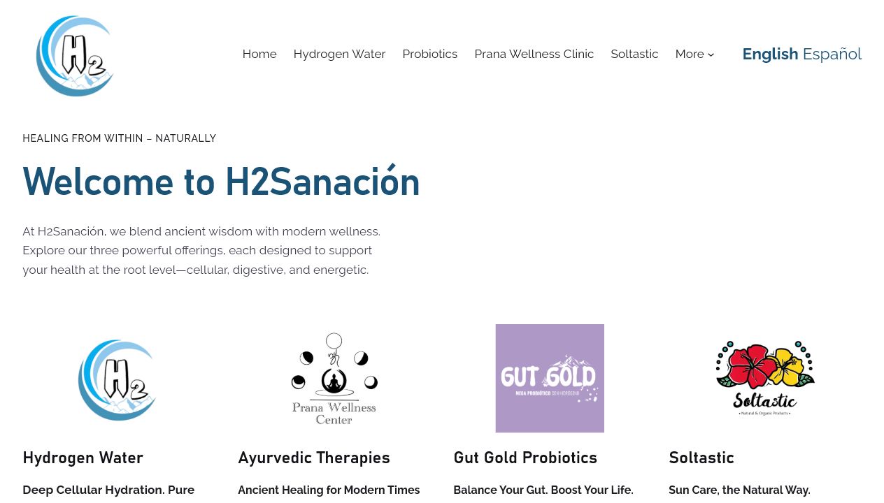 Building a Digital Wellness Platform for H2 Sanación in Cuenca, Ecuador